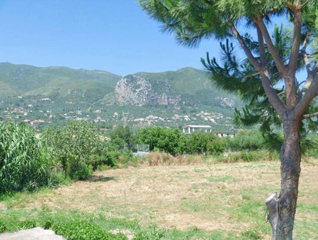 Irini Studios Alykés Rom bilde